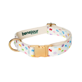 Bonejour - Petite Collar (Color: White Multi, size: Petite)